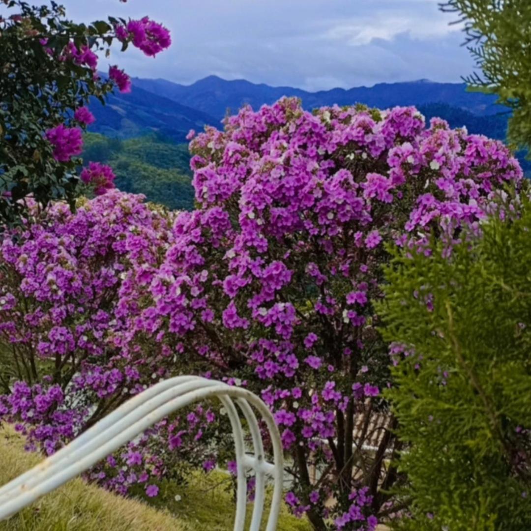 Pousada Linda Vista Domingos Martins Εξωτερικό φωτογραφία